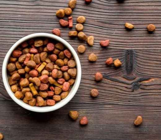 Picture for category Canine Food & Diets